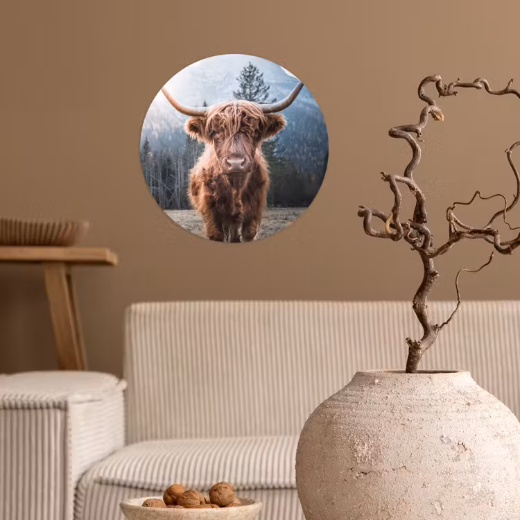 Schotse hooglander - Koe - Dieren - Berg - Natuur Wandcirkel behangsticker klein -sfeer1
