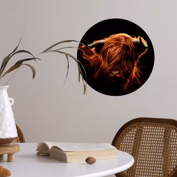 Schotse hooglander - Koe - Hoorns - Portret - Dieren Wandcirkel behangsticker klein -sfeer3