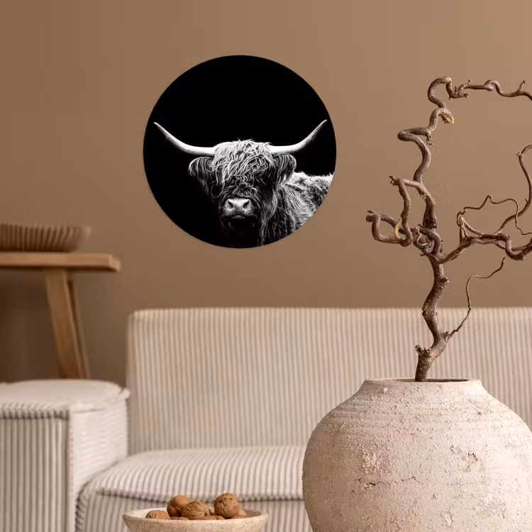Schotse Hooglander - Koe - Zwart - Wit - Dieren Wandcirkel behangsticker klein -sfeer1