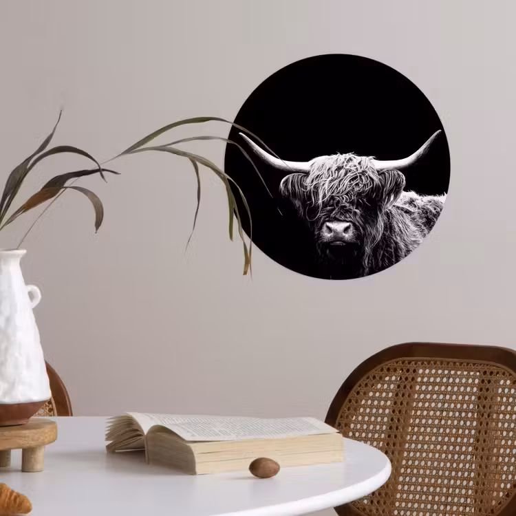 Schotse Hooglander - Koe - Zwart - Wit - Dieren Wandcirkel behangsticker klein -sfeer3