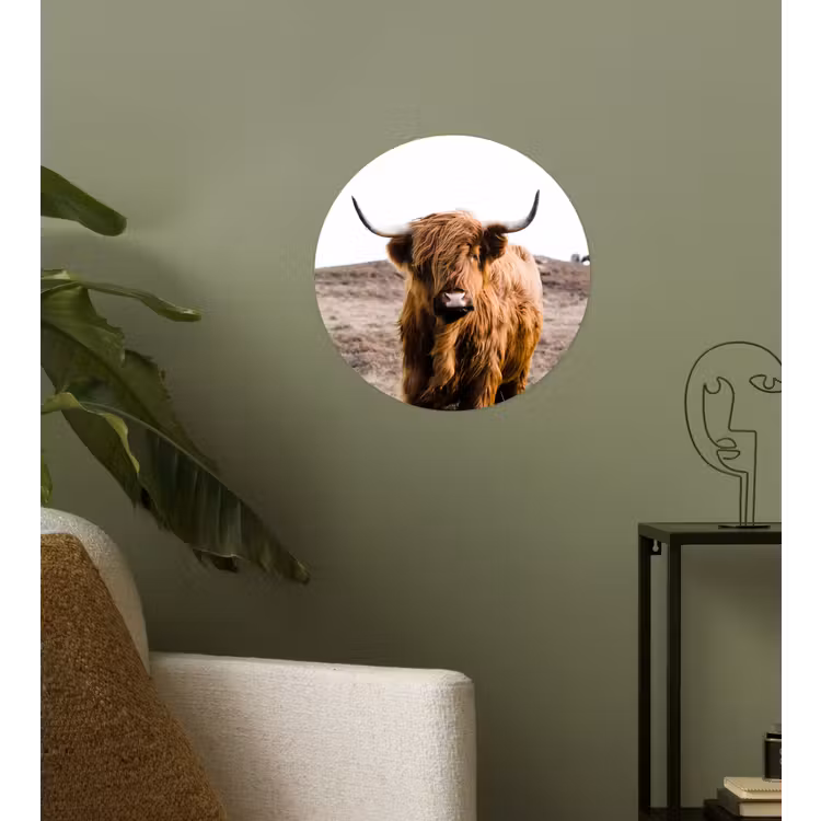 Schotse hooglander - Landschap - Koe - Bruin - Dieren - Natuur Wandcirkel behangsticker klein -sfeer2