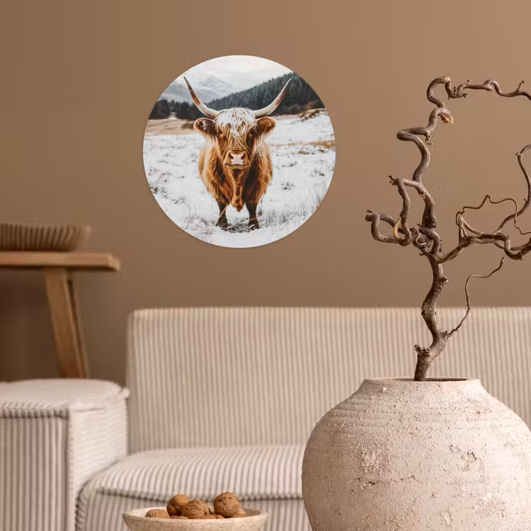 Schotse Hooglander - Landschap - Sneeuw - Bergen - Winter Wandcirkel behangsticker klein -sfeer1