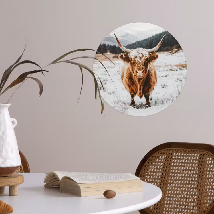 Schotse Hooglander - Landschap - Sneeuw - Bergen - Winter Wandcirkel behangsticker klein -sfeer3