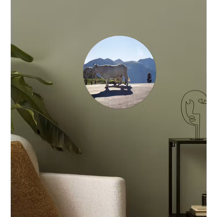 Schotse hooglander - Licht - Berg - Natuur Wandcirkel behangsticker klein -sfeer2