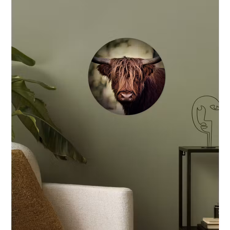 Schotse hooglander - Licht - Portret - Natuur Wandcirkel behangsticker klein -sfeer2