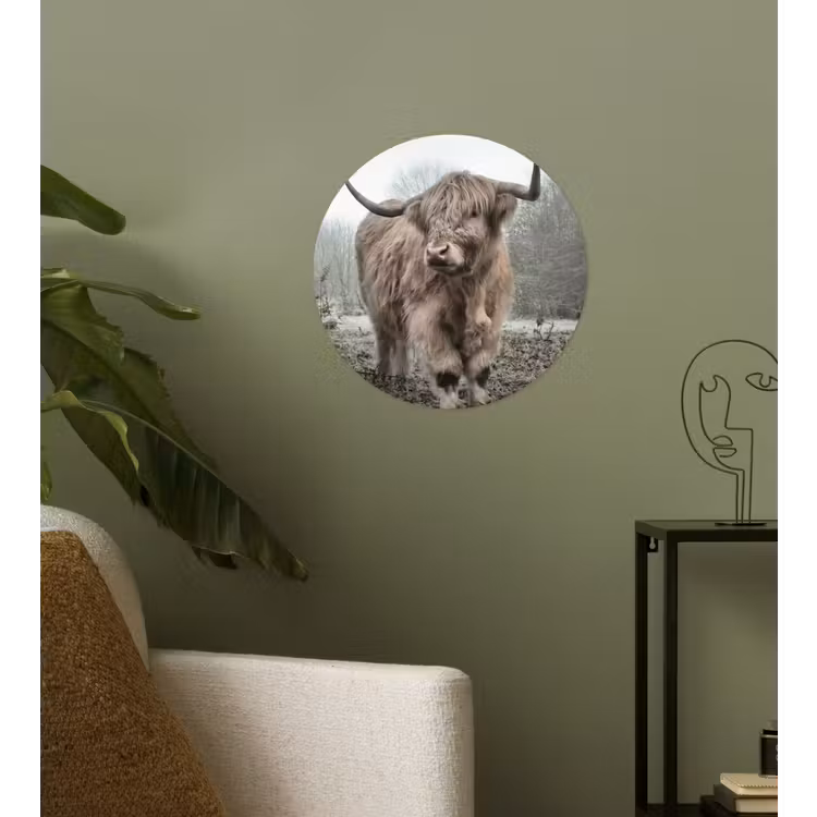 Schotse hooglander - Natuur - Herfst - Dieren - Wild - Bos Wandcirkel behangsticker klein -sfeer2