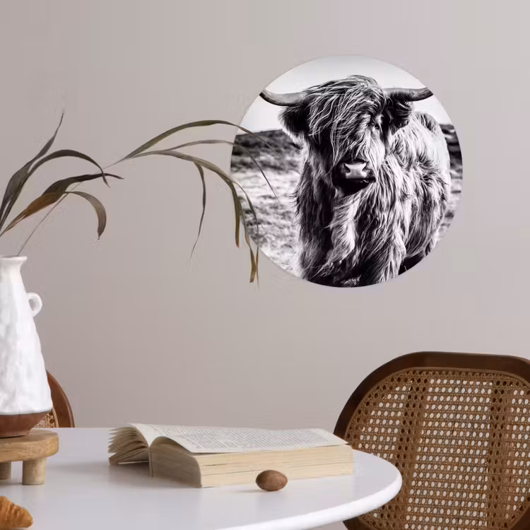Schotse hooglander - Natuur - Koe - Zwart - Wit Wandcirkel behangsticker klein -sfeer3