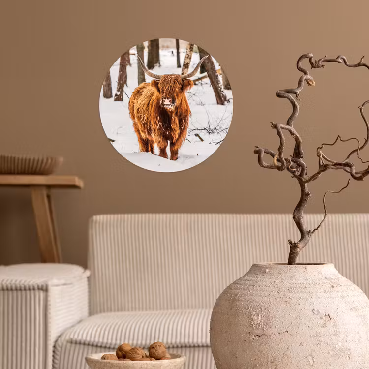 Schotse Hooglander - Sneeuw - Winter - Natuur - Dieren Wandcirkel behangsticker klein -sfeer1