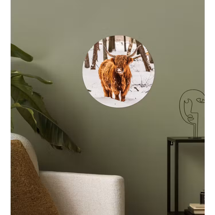 Schotse Hooglander - Sneeuw - Winter - Natuur - Dieren Wandcirkel behangsticker klein -sfeer2