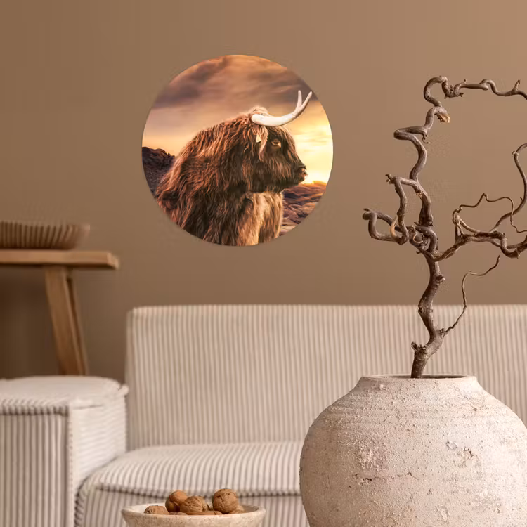 Schotse hooglander - Zon - Horizon - Koe - Dieren Wandcirkel behangsticker klein -sfeer1