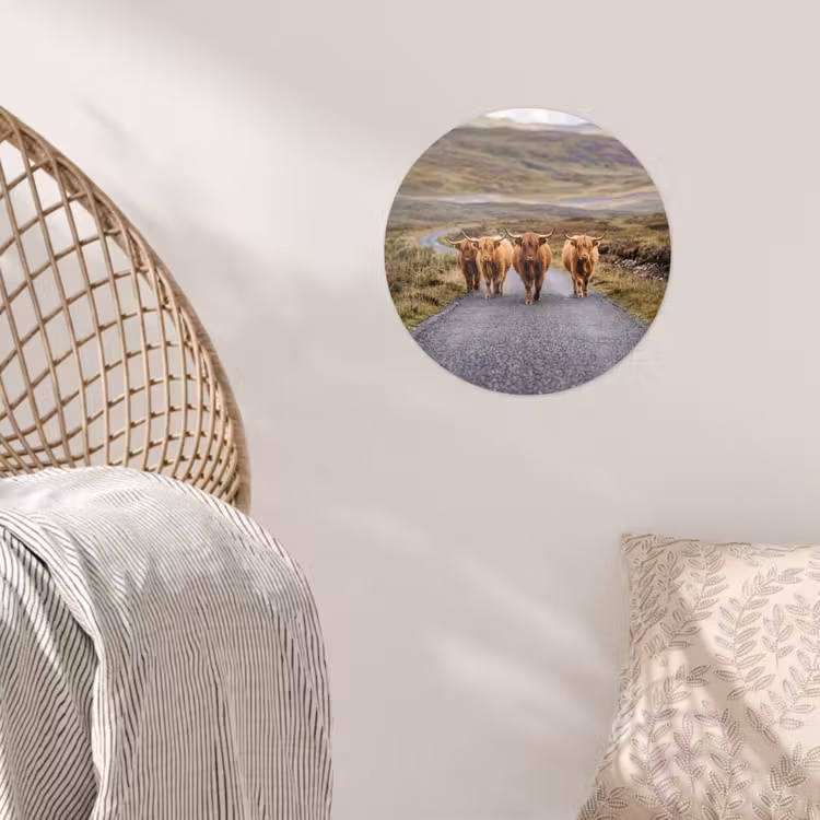 Schotse Hooglanders - Weg - Landschap - Kudde Wandcirkel behangsticker klein -sfeer4