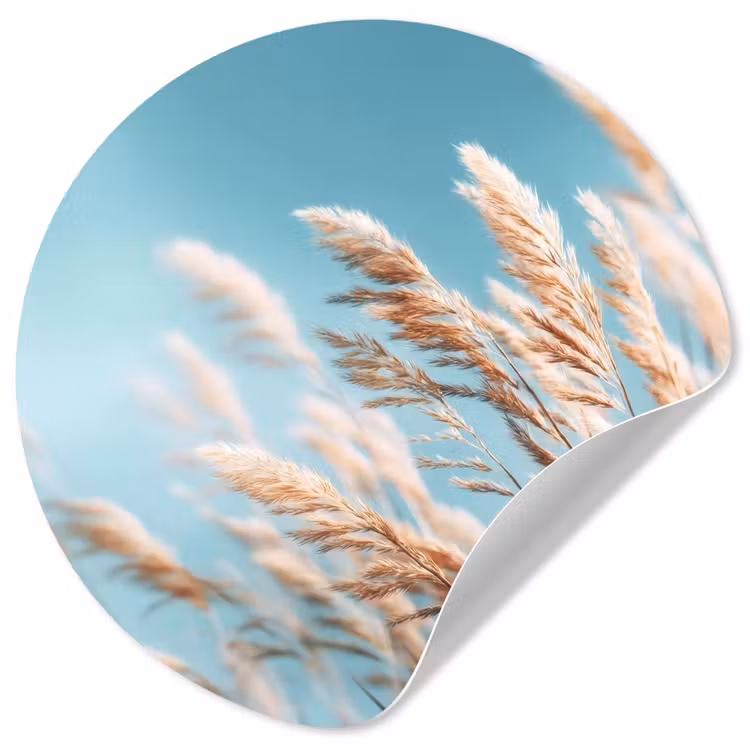 Siergras - Wind - Lichtbruin Wandcirkel behangsticker klein -3d