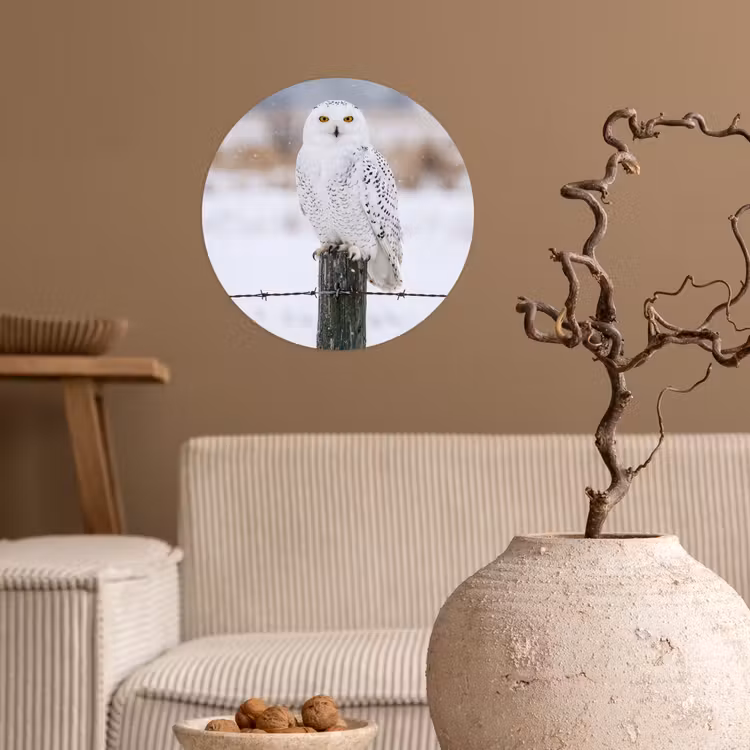 Sneeuwuil - Hek - Sneeuw - Wit Wandcirkel behangsticker klein -sfeer1