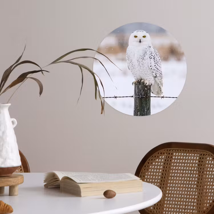 Sneeuwuil - Hek - Sneeuw - Wit Wandcirkel behangsticker klein -sfeer3