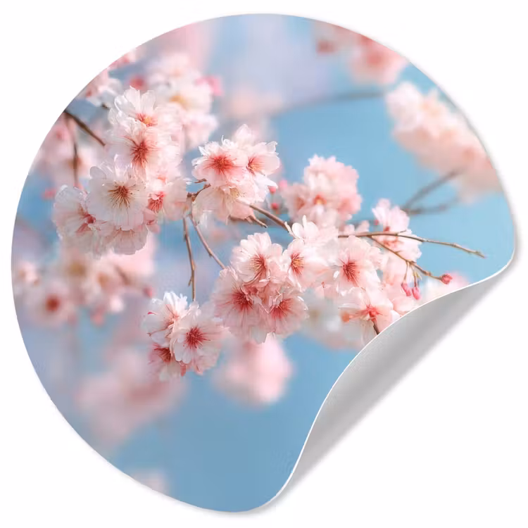 Takken - Bloesems - Roze Wandcirkel behangsticker klein -3d