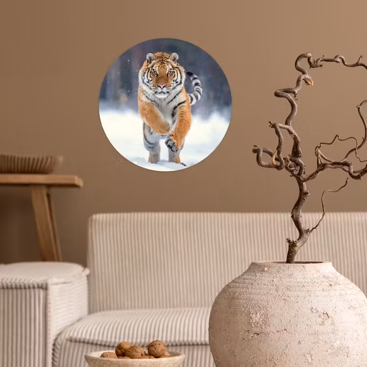 Tijger - Landschap - Sneeuw - Winter - Dieren Wandcirkel behangsticker klein -sfeer1