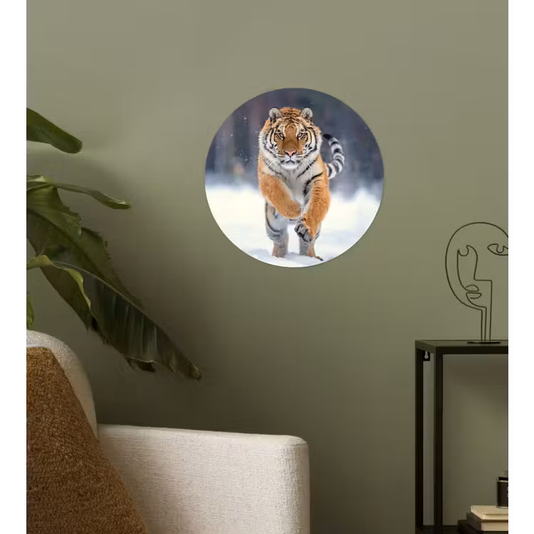 Tijger - Landschap - Sneeuw - Winter - Dieren Wandcirkel behangsticker klein -sfeer2