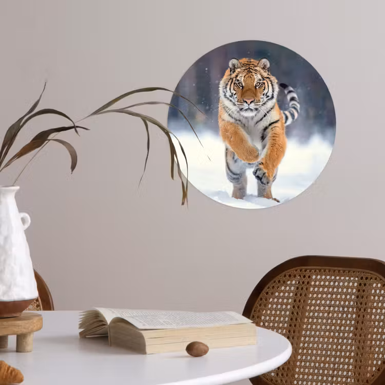 Tijger - Landschap - Sneeuw - Winter - Dieren Wandcirkel behangsticker klein -sfeer3