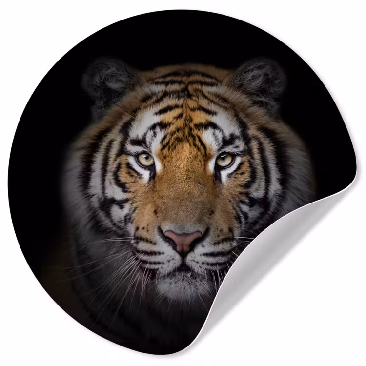 Tijger - Wilde dieren - Portret - Zwart - Dieren Wandcirkel behangsticker klein -3d