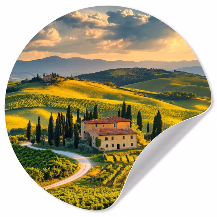 Toscane - Landschap - Wijngaarden Wandcirkel behangsticker klein -3d