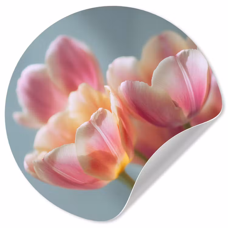 Tulpen - Roze - Stelen Wandcirkel behangsticker klein -3d