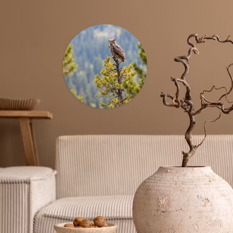 Uil - Oehoe - Bomen - Natuur Wandcirkel behangsticker klein -sfeer1