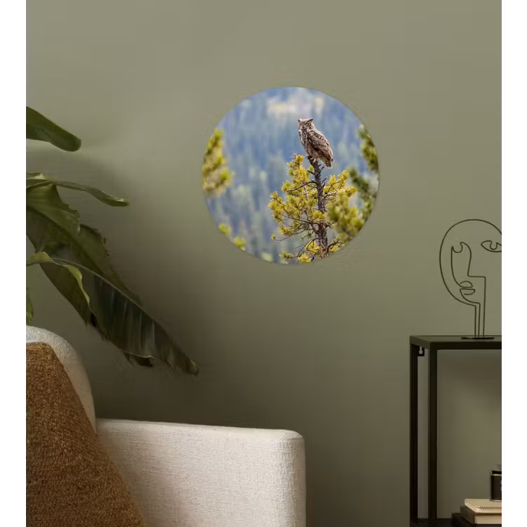 Uil - Oehoe - Bomen - Natuur Wandcirkel behangsticker klein -sfeer2