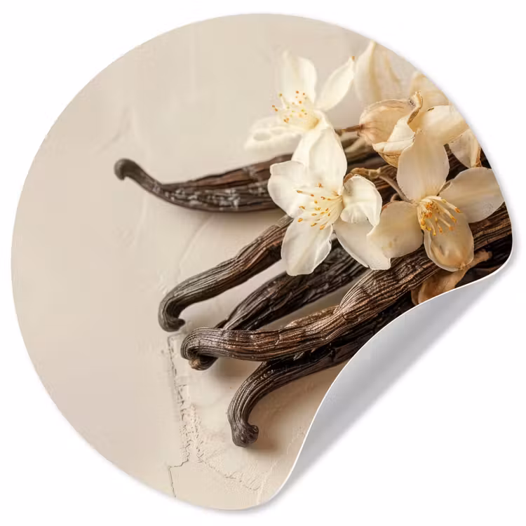 Vanille - Bloemen - Beige Wandcirkel behangsticker klein -3d