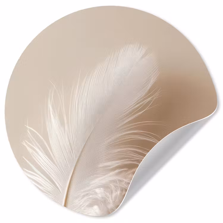 Veer - Minimalistisch - Roze Wandcirkel behangsticker klein -3d