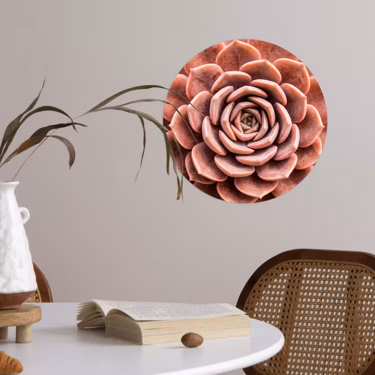 Vetplant - Organisch - Roze Wandcirkel behangsticker klein -sfeer3