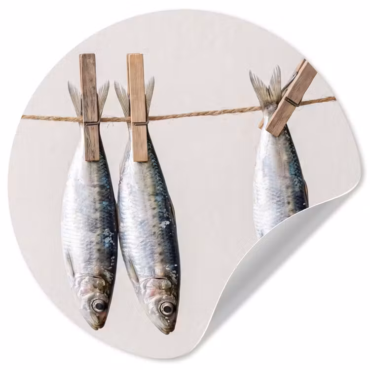 Behangcirkel - Vis - Hangend - Eten - Vis - Hangend - Eten Wandcirkel behangsticker klein