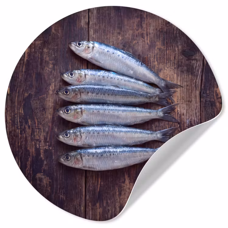 Behangcirkel - Vis - Hout - Eten - Vis - Hout - Eten Wandcirkel behangsticker klein