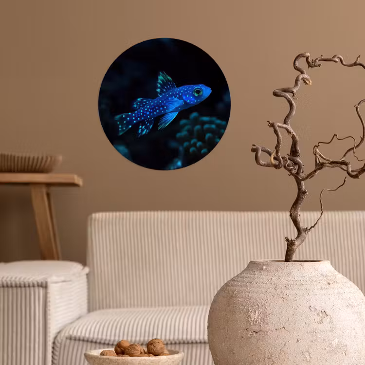 Vis - Stippen - Koraal - Blauw Wandcirkel behangsticker klein -sfeer1