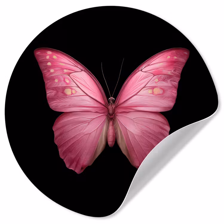 Vlinder - roze - Elegant Wandcirkel behangsticker klein -3d