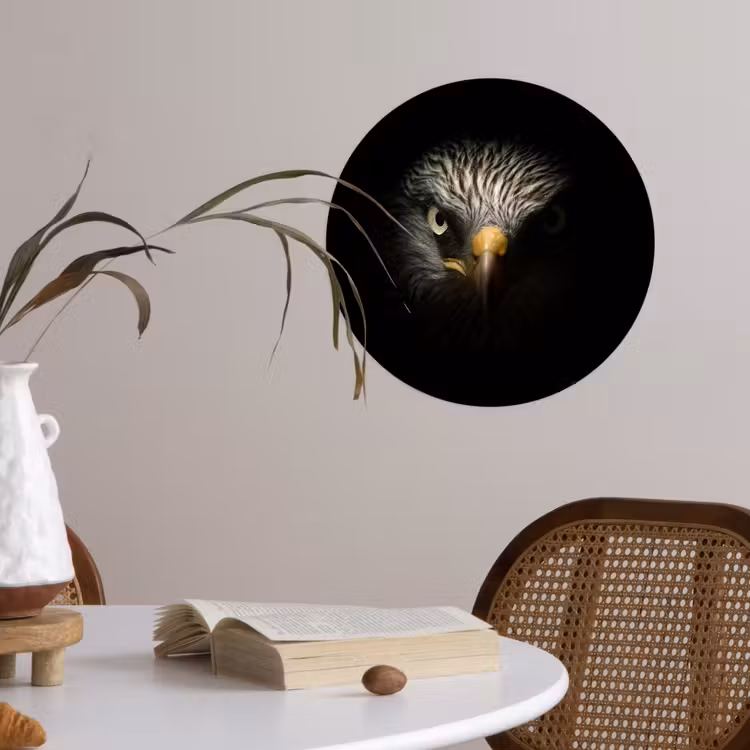 Vogel - Adelaar - Roofvogels - Oog - Snavel - Licht Wandcirkel behangsticker klein -sfeer3