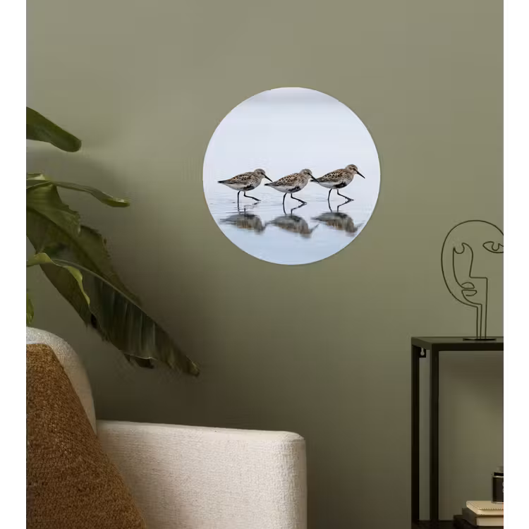 Vogels - Water - Grijs Wandcirkel behangsticker klein -sfeer2
