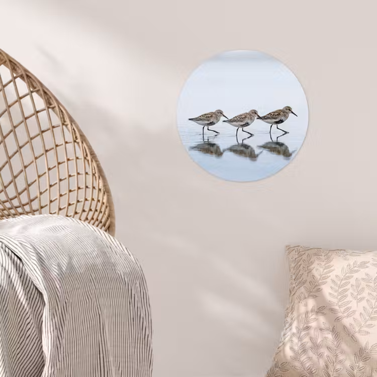 Vogels - Water - Grijs Wandcirkel behangsticker klein -sfeer4