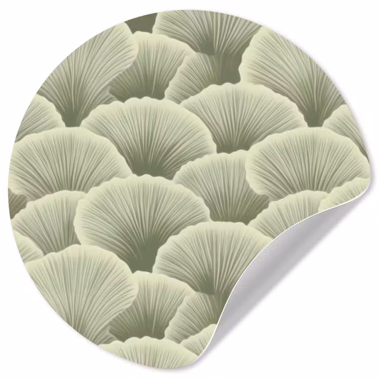 Waaier - Blad - Groen Wandcirkel behangsticker klein 186 -3d