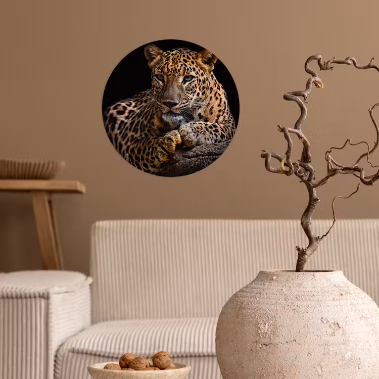 Wilde dieren - Panter - Portret - Zwart - Dieren Wandcirkel behangsticker klein -sfeer1