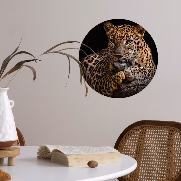 Wilde dieren - Panter - Portret - Zwart - Dieren Wandcirkel behangsticker klein -sfeer3