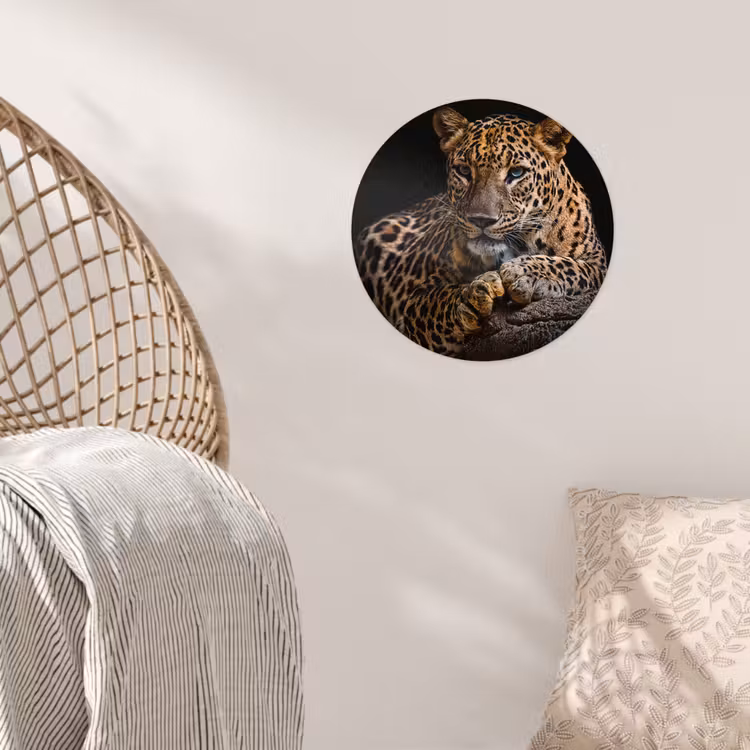 Wilde dieren - Panter - Portret - Zwart - Dieren Wandcirkel behangsticker klein -sfeer4