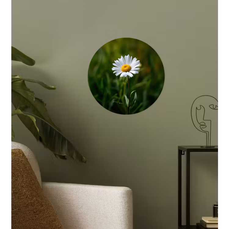 Wit - Madeliefje - Bloem - Gras Wandcirkel behangsticker klein -sfeer2