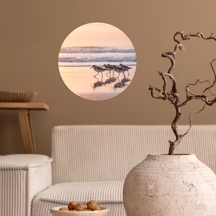 Zee - Vogels - Strand Wandcirkel behangsticker klein -sfeer1