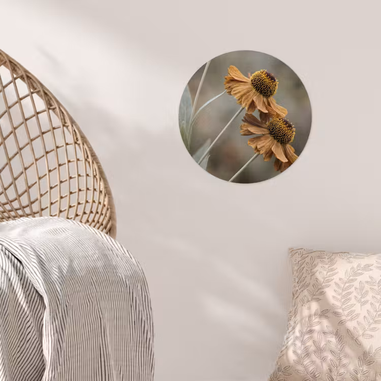 Zonnehoed - Droogbloemen - Geel - Warm Wandcirkel behangsticker klein -sfeer4