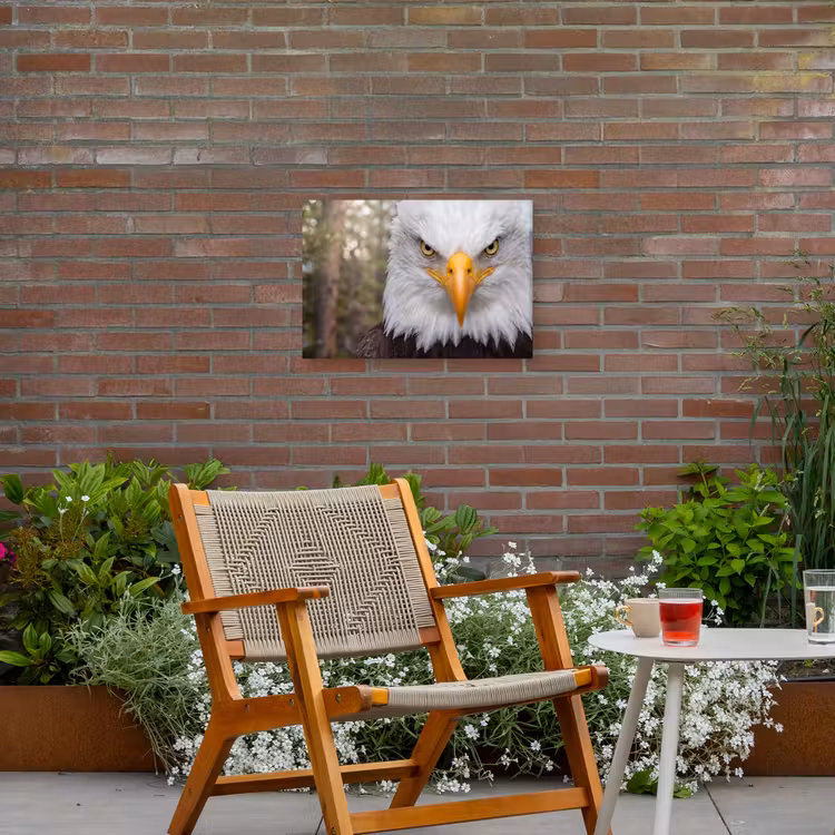 Amerikaans - Zeearend - Portret - Geel Tuinposter op houten frame 2 cm dik klein -sfeer3