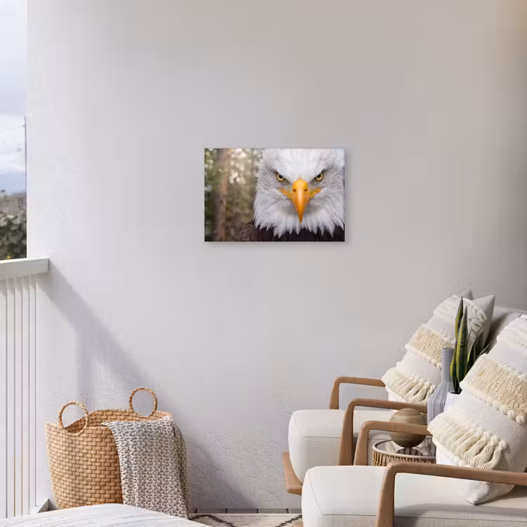Amerikaans - Zeearend - Portret - Geel Tuinposter op houten frame 2 cm dik klein -sfeer1