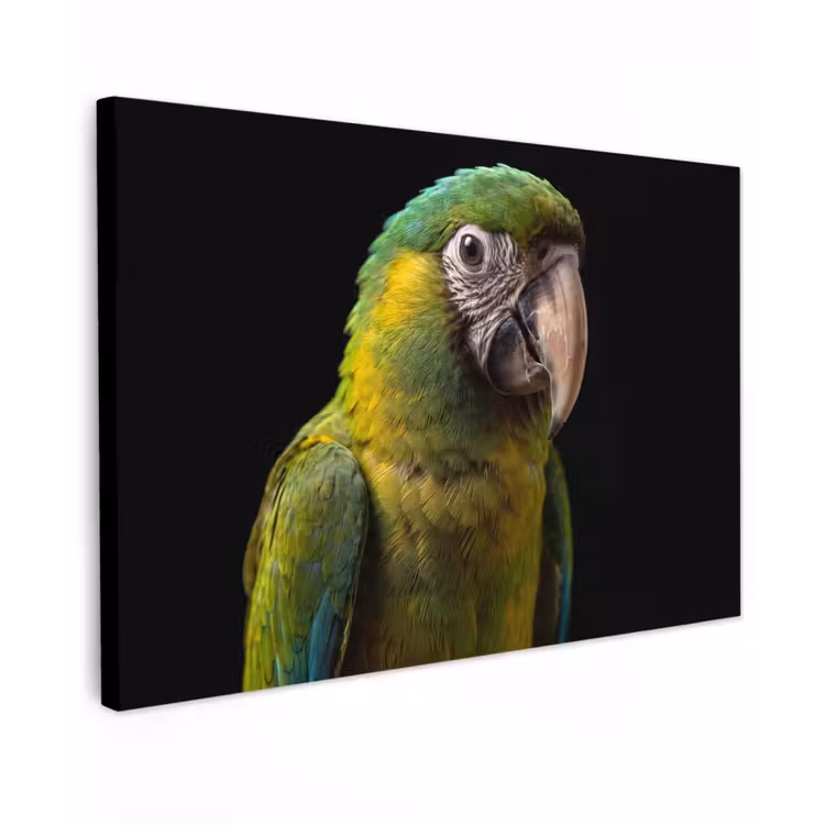 Ara - Portret - Groen Tuinposter op houten frame 2 cm dik klein -3d