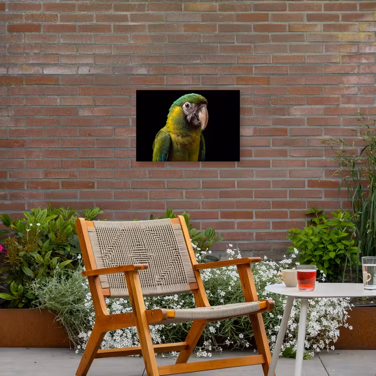 Ara - Portret - Groen Tuinposter op houten frame 2 cm dik klein -sfeer3
