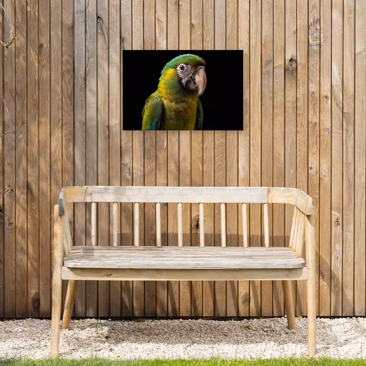 Ara - Portret - Groen Tuinposter op houten frame 2 cm dik klein -sfeer4