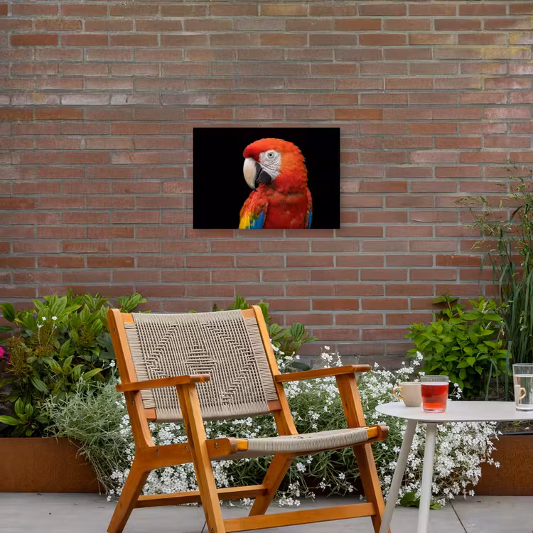 Ara - Portret - Rood Tuinposter op houten frame 2 cm dik klein -sfeer3